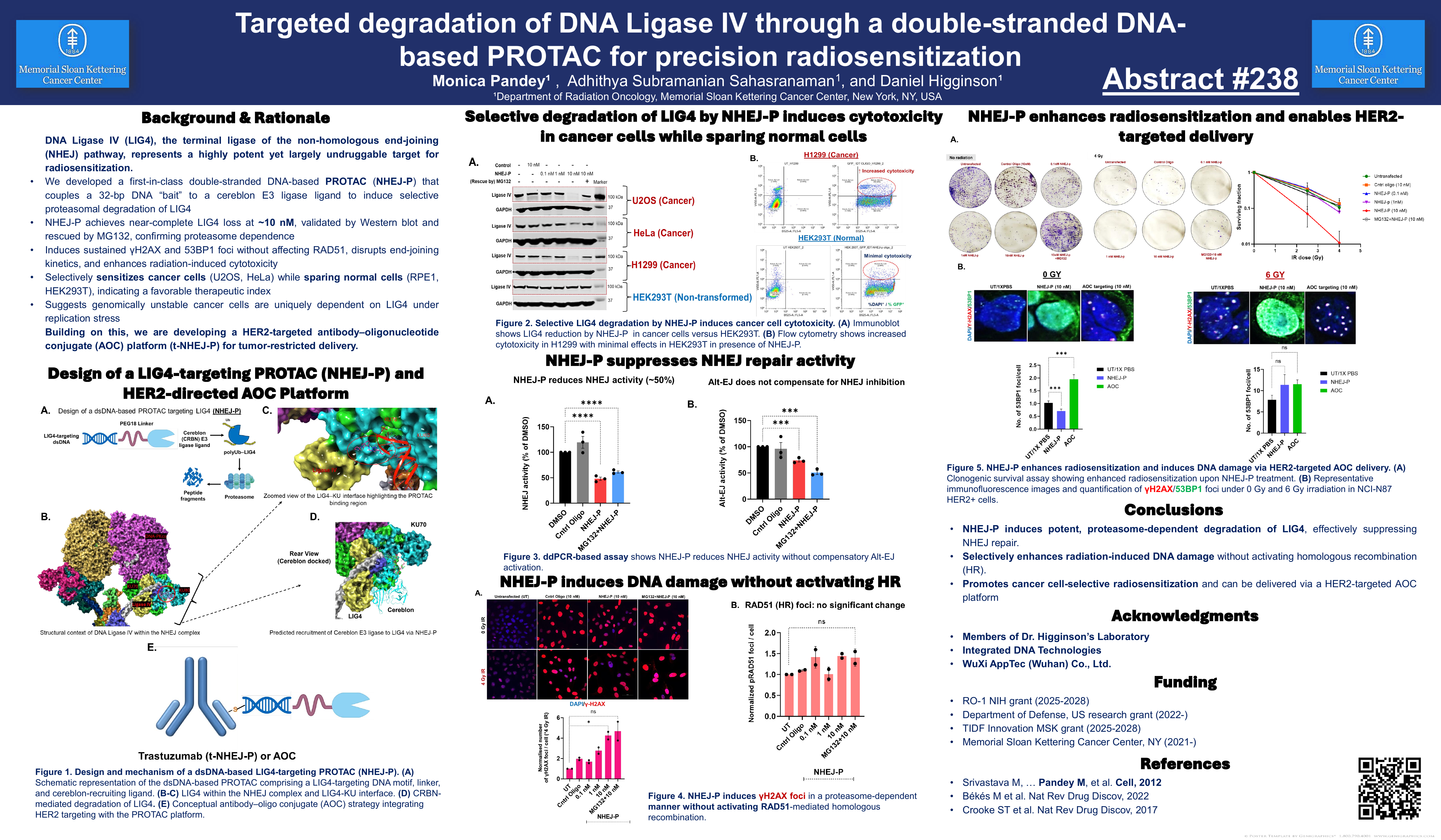 AACR 2026 poster — LIG4 PROTAC for precision radiosensitization